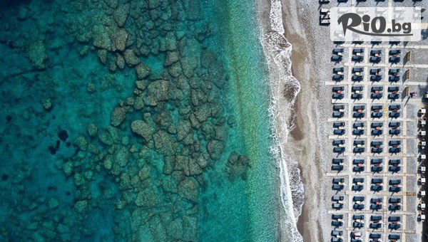 Далла Турс - thumb 3