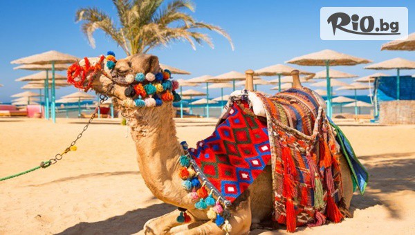 Премио Травел - thumb 2