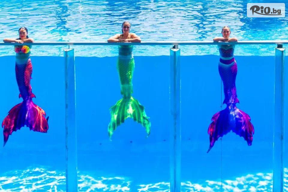 Go2holiday - thumb 9 Go2holiday - thumb 9