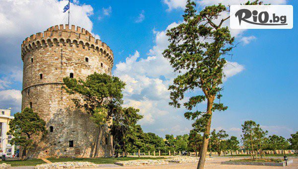 Дениз Травел - thumb 5