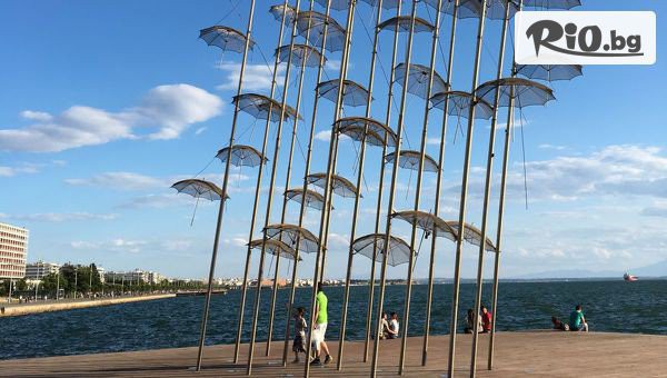 Дениз Травел - thumb 6