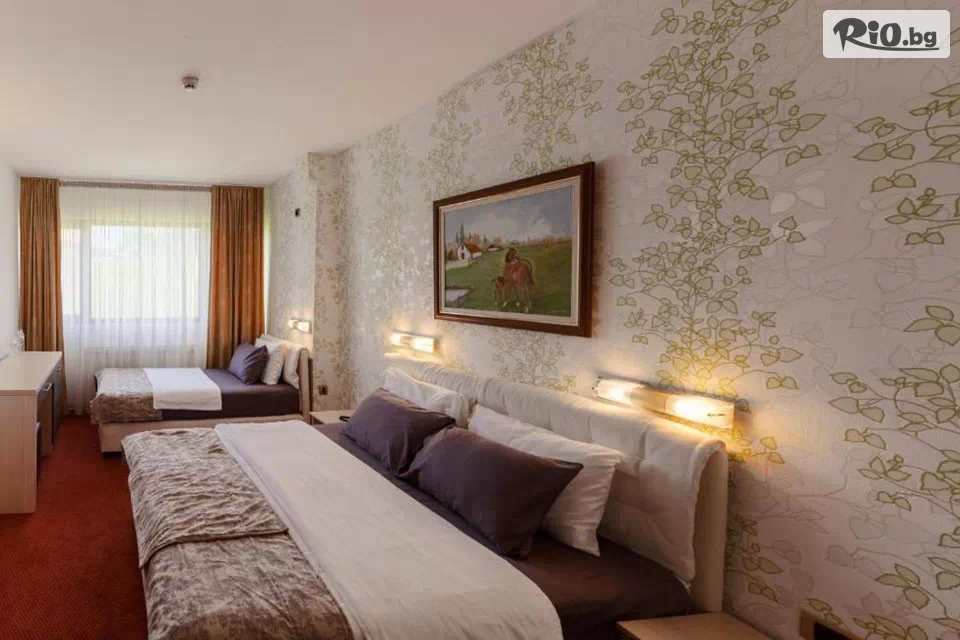 Рикотур - thumb 9 Рикотур - thumb 9