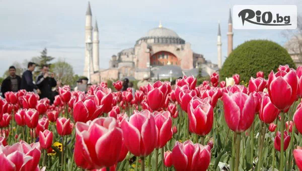 Ривиера Тур - thumb 4