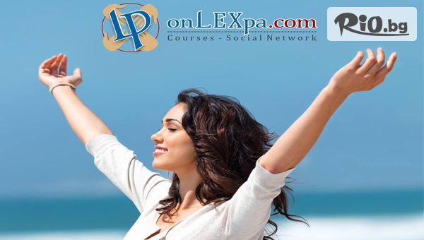 Lex Partners - thumb 3