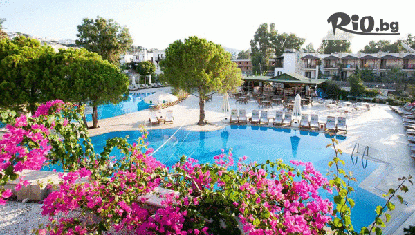 Arkain Tour - thumb 2