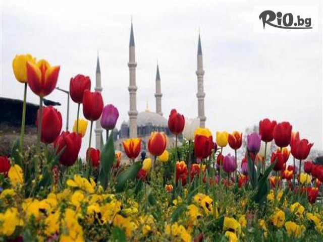 Алексов тур ЕООД - thumb 1 Алексов тур ЕООД - thumb 1