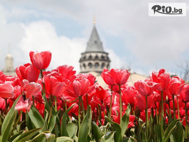 Алексов тур ЕООД - thumb 7 Алексов тур ЕООД - thumb 7