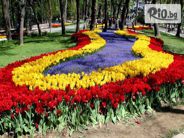 Алексов тур ЕООД - thumb 8 Алексов тур ЕООД - thumb 8