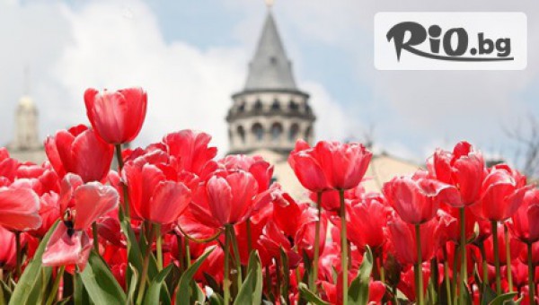 ФЕСТИВАЛ НА ЛАЛЕТО В ИСТАНБУЛ! Две нощувки със закуски само за 139лв + транспорт, от Алексов тур