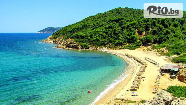 Арена Холидейз - thumb 3