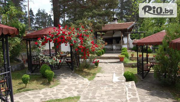 Комплекс Бръшлян - thumb 3