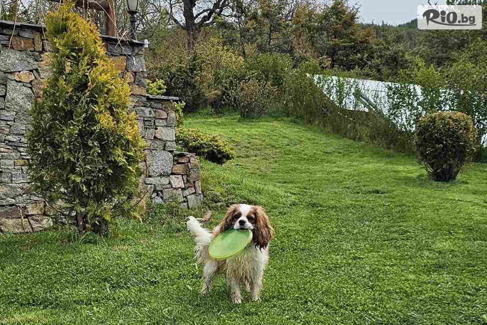 Панорама Хаус - thumb 11