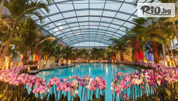 Рикотур - thumb 2