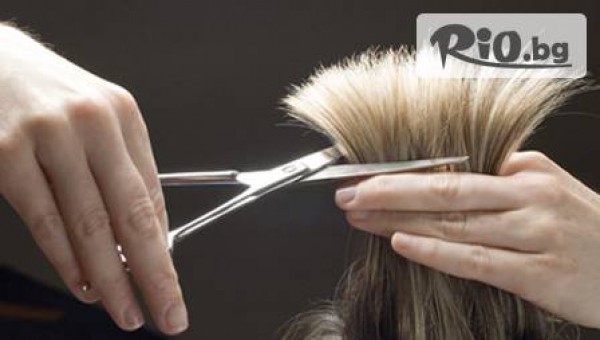 Учебен център Елвис - thumb 2