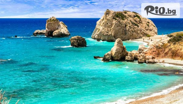 Арена Холидейз - thumb 9