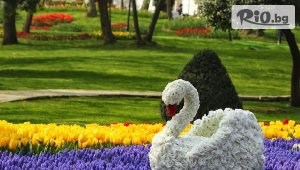 Молина Травел - thumb 3