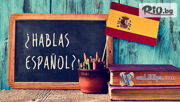 Lex Partners - thumb 2