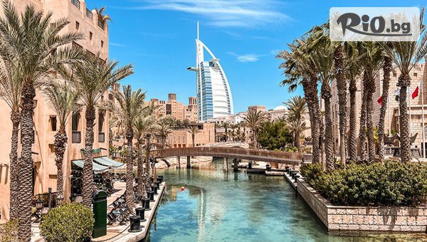 Далла Турс - thumb 2