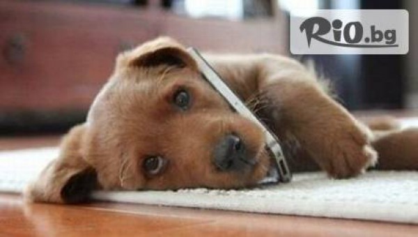 "Експрес Сервиз" за мобилни телeфони - thumb 2