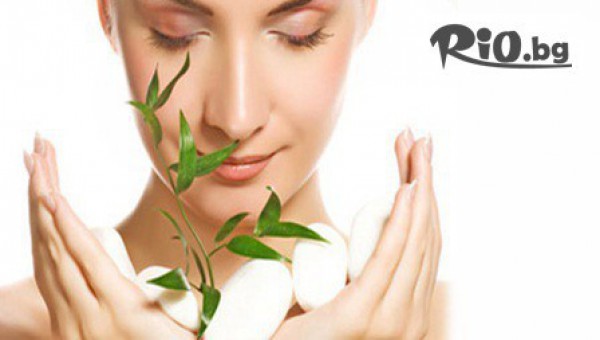 СТУДИО ЗА КРАСОТА НЕФЕРТИТИ - thumb 3