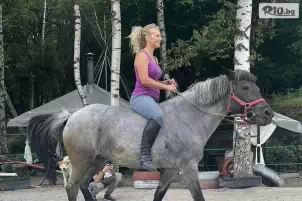 Конна база София - Юг