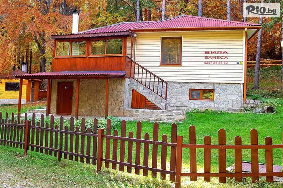 Вила Ванеса