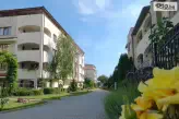 Роял Палм