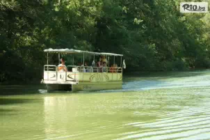 ПАНИСУС ООД