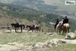 Конна база Нова Звезда