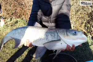 Спортен Риболов Требич