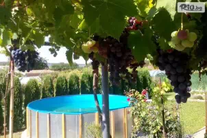 Villa Reveri