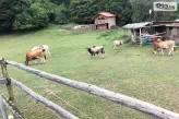 Ранчо Канарата