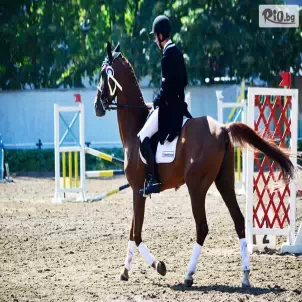 Конна база Хан Аспарух