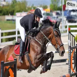 Ездови клуб Валдемар Хорсис