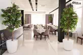 Hotel Bosphorus-4
