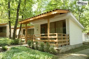 Вили Холидей