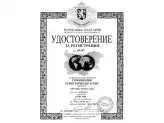 Престиж Травел-4