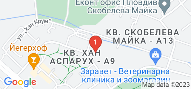 Зумба Карта